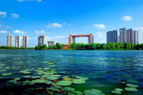 临沂公园爆料视频,揭秘公园里的惊人秘密  第2张